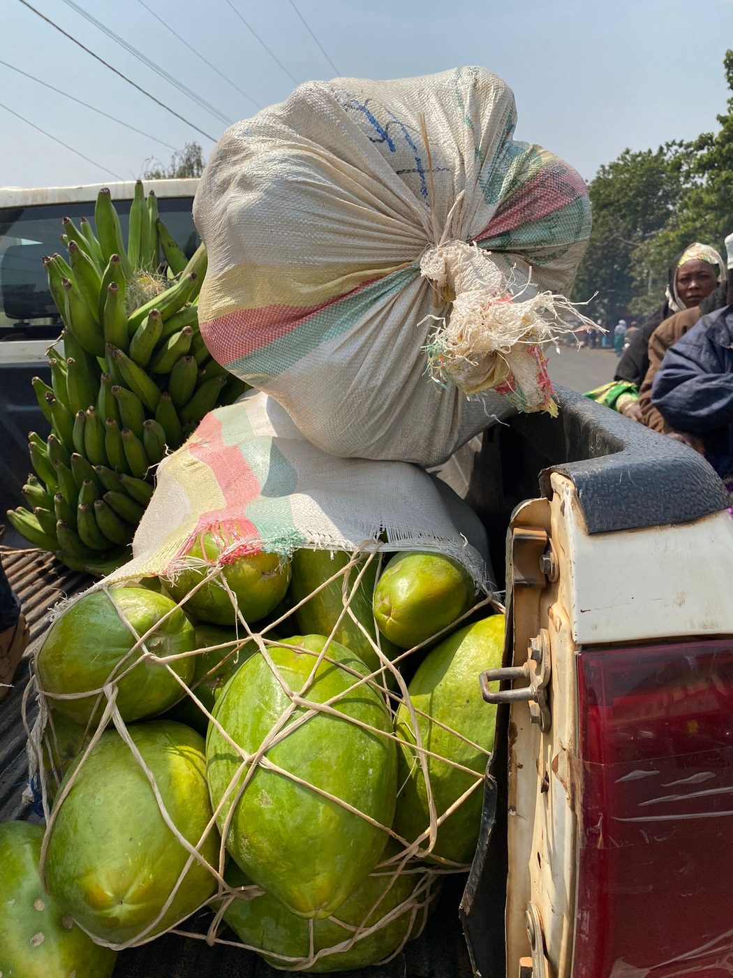Chargement de papayes et plantains depuis le champ