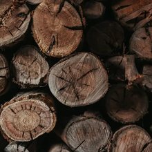 Bois et grumes (espèces autorisées)