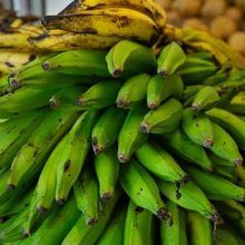 Banane plantain